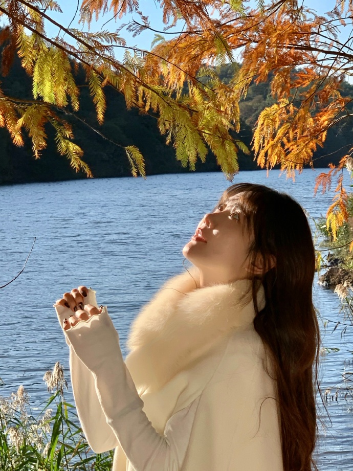 血战钢锯岭