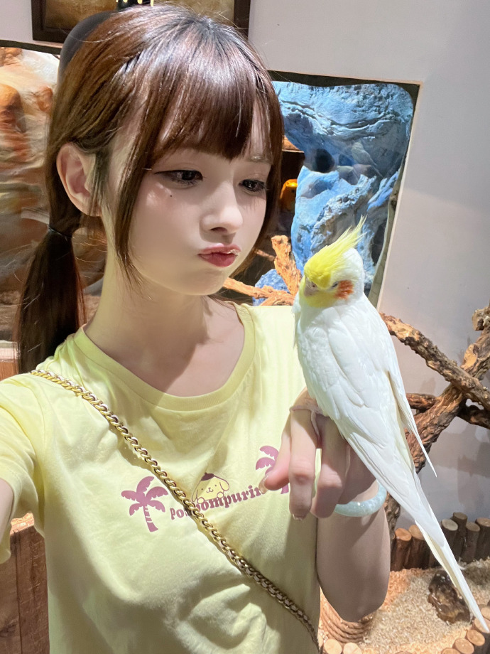 哪吒之魔童闹海